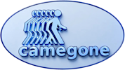 CameGone